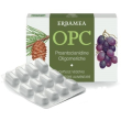 opc 24 capsule