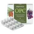 opc capsule