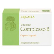 vitamine complesso b 24cps veg