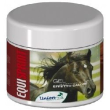 equisprint 500ml gel         # minsan 922392725