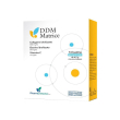 ddm matrice 14bust