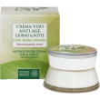 pilogen bio lady crema viso antiage alla rosa - 50 ml