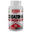 whysport creatina platinum 1300 120cpr