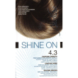 bionike shine on capelli 4.3 castano dorato
