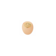 dansac nlife1 maxi chiusa opaca 90 10-70