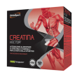 creatina vector 20bust 8g