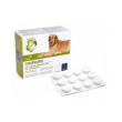 condrosalus 60cpr g879       # minsan 923330536