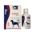 stride plus dog per tessuto connettivo e articolazioni cani 200ml - integratore per la salute artico