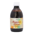 regeneractive 300ml