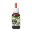 cumeca 30ml