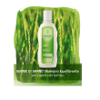 weleda germe di grano shampoo equilibrante capelli con forfora 190 ml