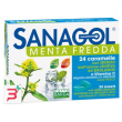 sanagol menta fredda 24 caramelle
