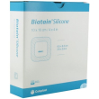 biatain silic.lite 10x10