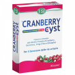 cranberry cyst 30 ov esi