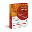 guarana' energ mirtillo 10fl