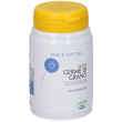 germe di grano 100prl 100 pz perle