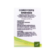 cordyceps sinensis 6cps
