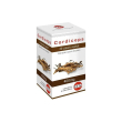 kos cordiceps estratto secco titolato 60 capsule - integratore utile al sistema immunitario