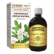gemmo 10+ biancospino liquido analcolico 500ml