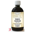 gemmo 10+ ribes nero 500 ml liquido analcolico