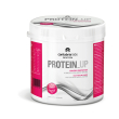 protein up barattolo 400g