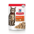 feline maint bs tacchino 85gr teneri bocconcini in salsa minsan 92429...
