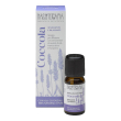 coccola sinergia oli essen 10ml
