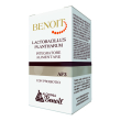 benoit lactobacillus plantharu