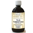 tiglio arg.liq.anal.gemmo 10+ 500ml