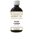 rosa canina anal.gemmo10+500ml