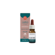 erba vita olio essenziale di canfora, 10ml, olio naturale per la pelle, effetto balsamico