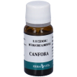 erva vita canfora olio essenziale 10 ml essenziale