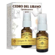 cedro libano quintessenza spra