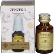 zenzero quintessenza spray 15 ml orale