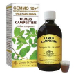 olmo camp 500ml analco gemm10+