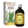 sequoia gemmo 10+ macerato glicerico analcolico 500 ml integratore naturale