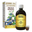 prugnolo 500ml analco gemmo10+