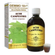 acero camp 500ml analco gem10+