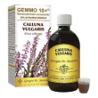 erica 500ml analco gemmo 10+