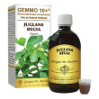 noce 500ml analco gemmo 10+