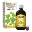 nocciolo 500ml analco gem 10+