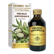 prunus a(mandorlo)gemmo 10+ 100m an
