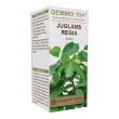 noce 100ml analcolico gemmo 10+ giorgini