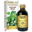 gemmo 10+ noce 100 ml liquido analcolico