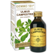 olmo camp 100ml analco gem 10+