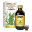 sequoia 100ml analco gemmo 10+