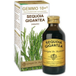 sequoia 100ml analco gemmo 10+