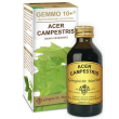 acero camp 100ml analco gem10+