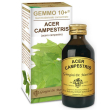 acero camp 100ml analco gem10+