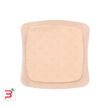 medicazione sterile in schiuma di poliuretano idrocellulare aquacel ag foam adesiva 12,5x12,5 cm 10